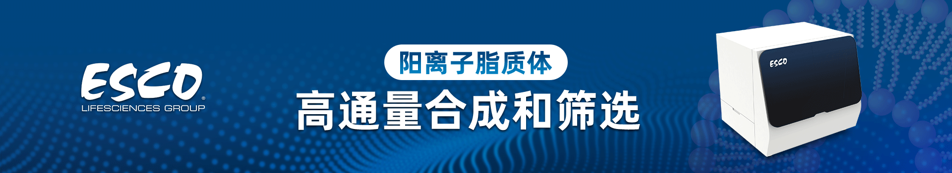 阳离子脂质体高通量合成和筛选